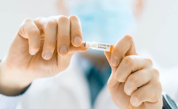 Comment prévenir l'ennui chez un Whippet en appartement ?